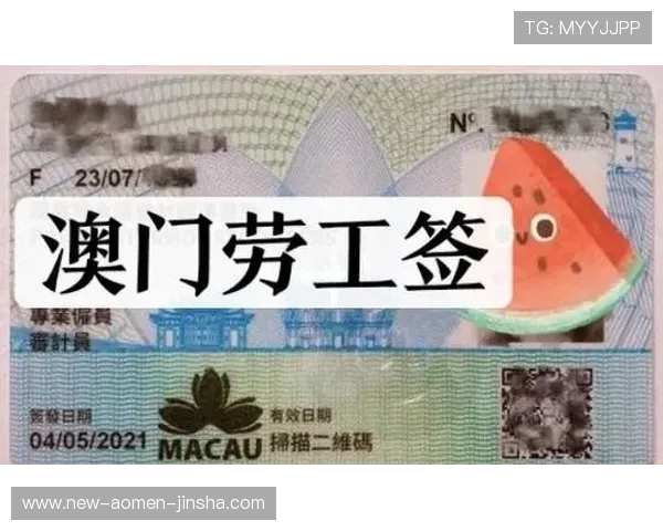 澳门利澳登录入口详细指南，帮助新手快速注册登录享受丰富游戏福利与优惠活动